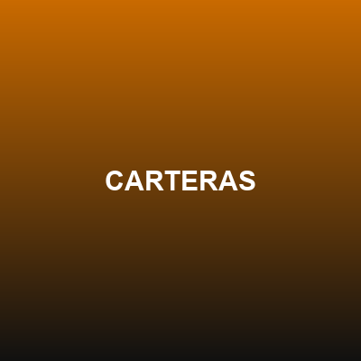 CARTERAS GRANDES